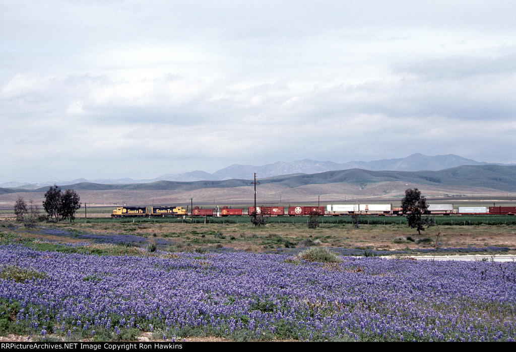 ATSF 5348 (REPOST)